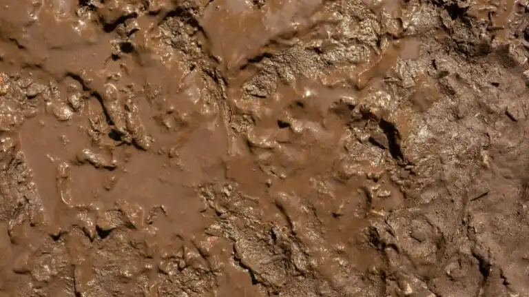 Boues dans un circuit de chauffage : mélange de corrosion, bactéries et tartre